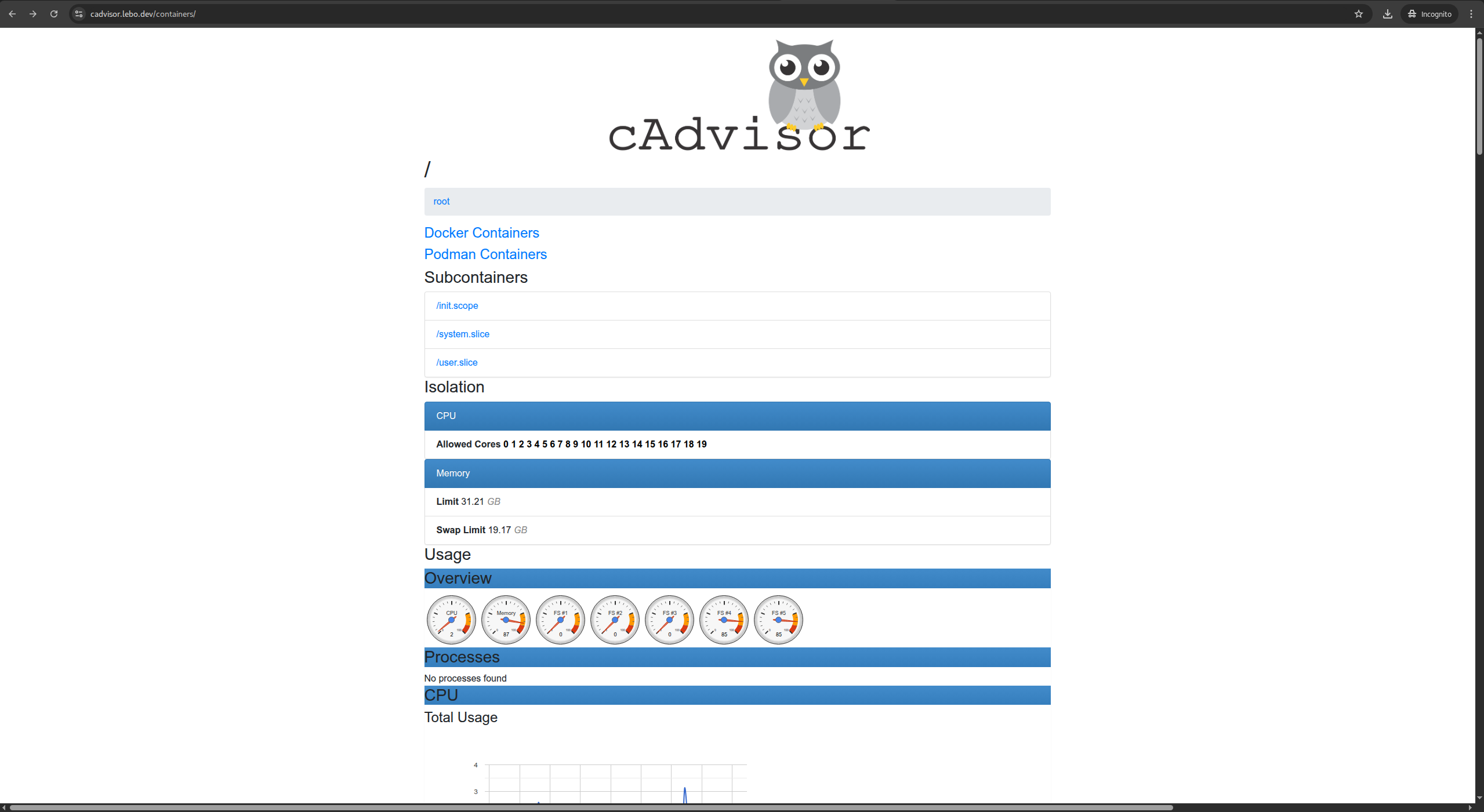 cAdvisor Interface