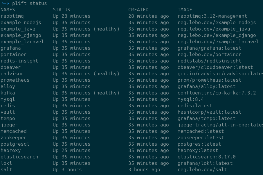 CLI Status Output